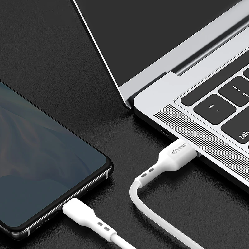 کابل تبدیل USB به USB-C پاواریال مدل DC10C طول 2 متر