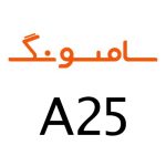 لوازم جانبی گوشی سامسونگ A25