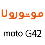 لوازم جانبی گوشی موتورولا Moto G42